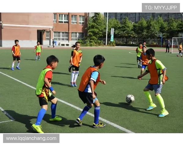 V5在精英赛中的心理素质分析与表现评估