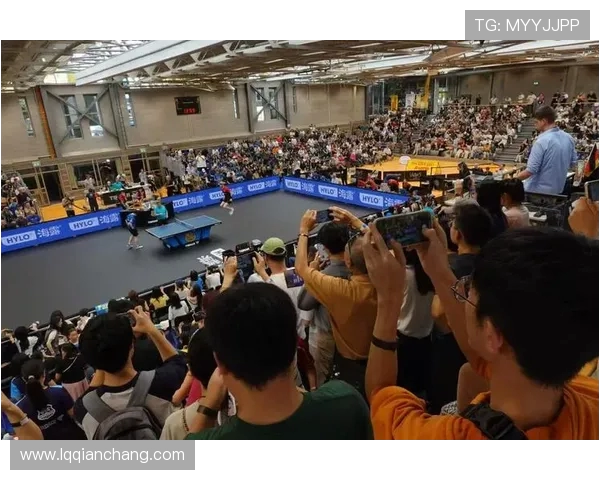 南京篮球队战术变革引发热议球迷期待新赛季精彩表现与战术创新