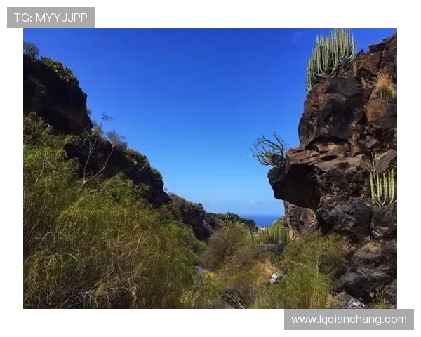 周芳亲授攀岩技巧与心得体会助你突破自我极限