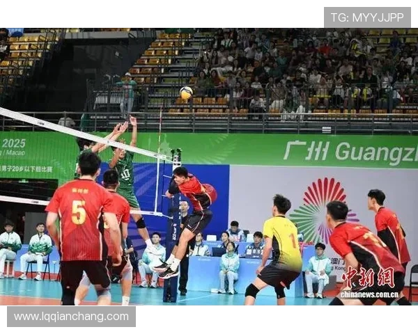 广州排球队比赛经验的创新与变革引发热议