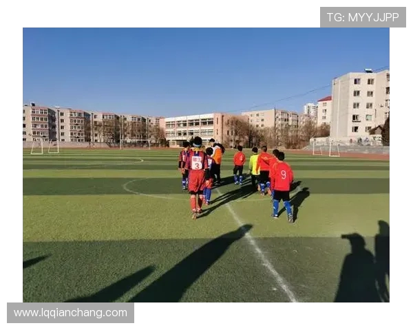 成都足球队的蜕变之旅:从传统到现代的转型纪实