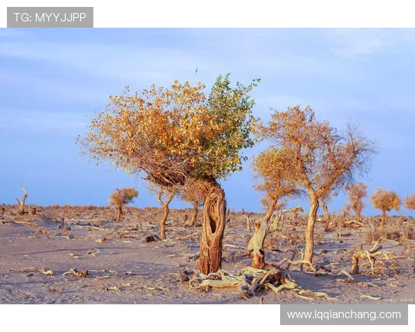 探索埃斯特旺的魅力与历史深度,感受独特文化与自然风光的完美融合 探索埃斯特旺的魅力与历史深度,感受独特文化与自然风光的完美融合