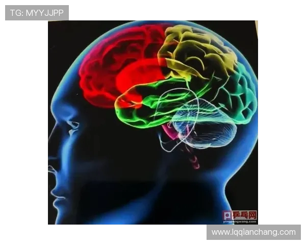 深入分析上海乒乓球队防反打法的战术特点与实际应用