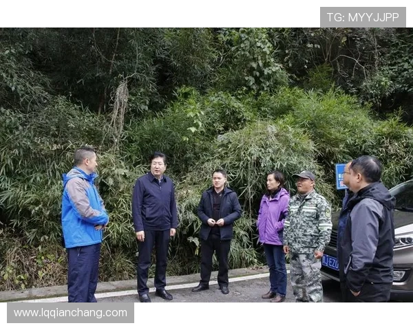 深圳攀岩队区域防守分析与战术调整的深度探讨