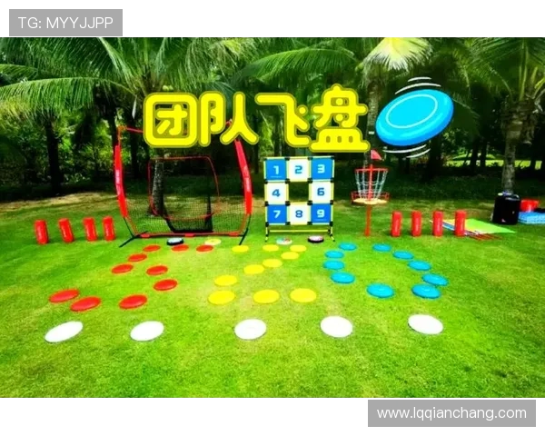 飞盘战术解析：西安飞盘队如何运用防反策略制胜比赛