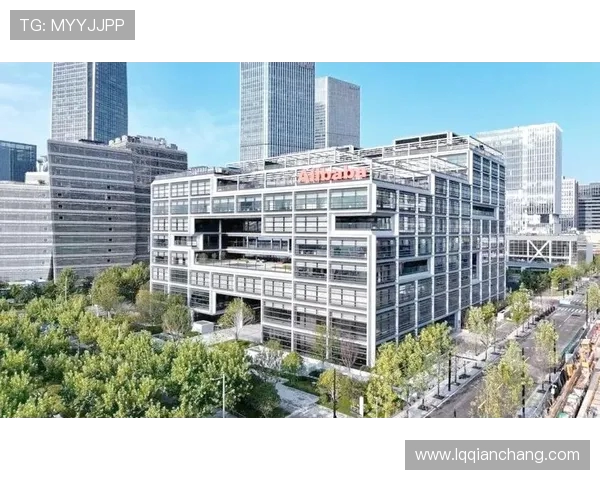 上海排球队整体压制革新之路：重塑战术与团队协作的全新篇章